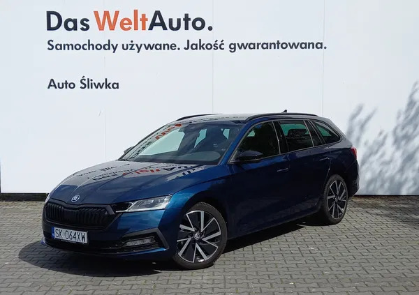 samochody osobowe Skoda Octavia cena 137900 przebieg: 12000, rok produkcji 2023 z Płoty